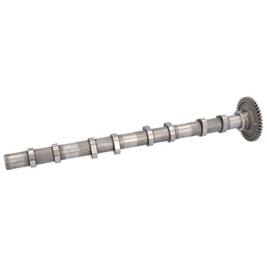 Camshaft Fits BMW OE 11318575438 Febi 184903