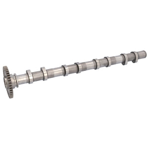 Camshaft Fits BMW OE 11318575438 Febi 184903