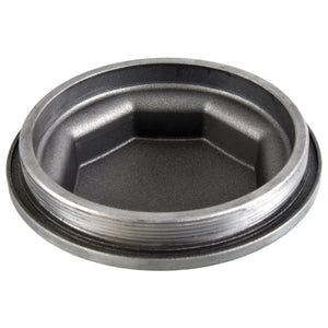 Hub Cap Fits Scania OE 2 734 965 Febi 171253