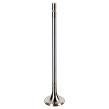 Load image into Gallery viewer, Exhaust Valve Fits Volvo OE 8148574 Febi 175553