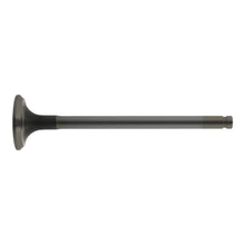 Load image into Gallery viewer, Exhaust Valve Fits Peugeot 1007 106 205 206 207 306 307 309 405 Bippe Febi 18667